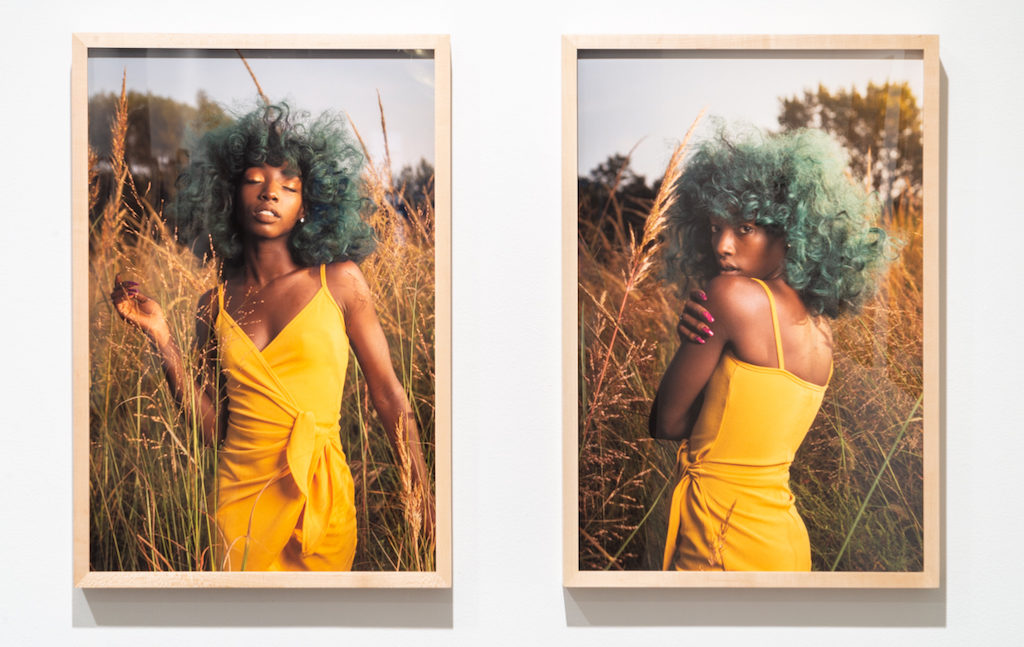 The New Landscape of Philadelphia’s Virtual Galleries!