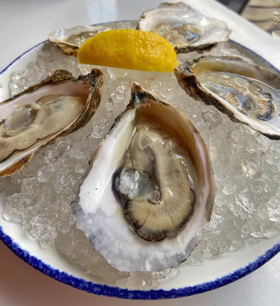 Your Philly New Year