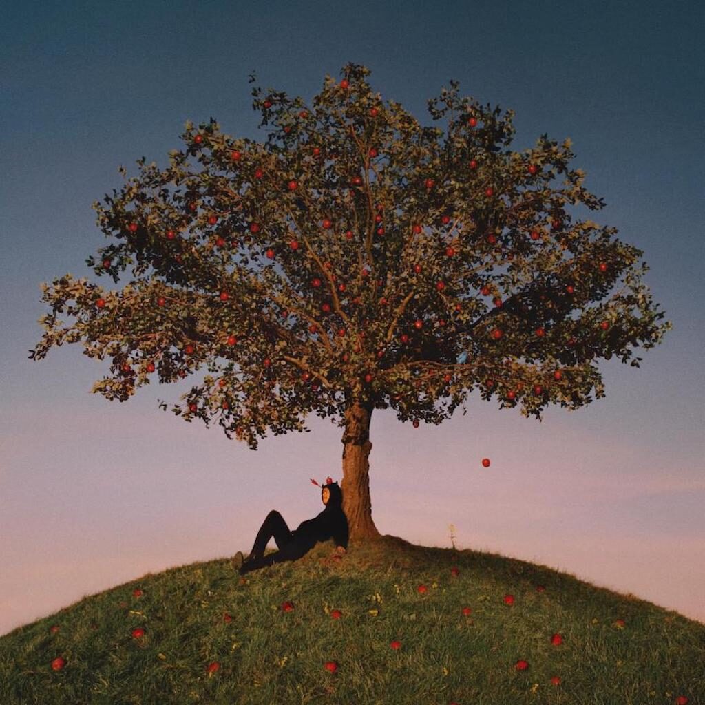 Dominique Fils Aimé