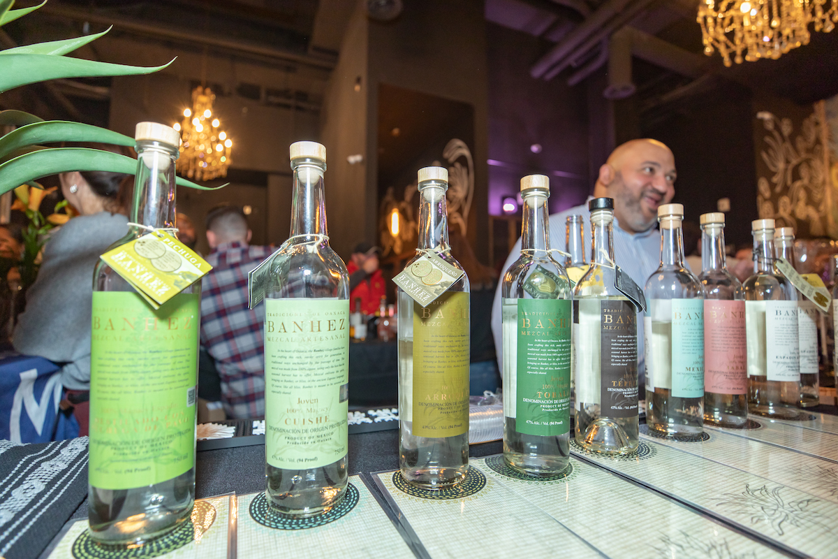 For the Love of Agave