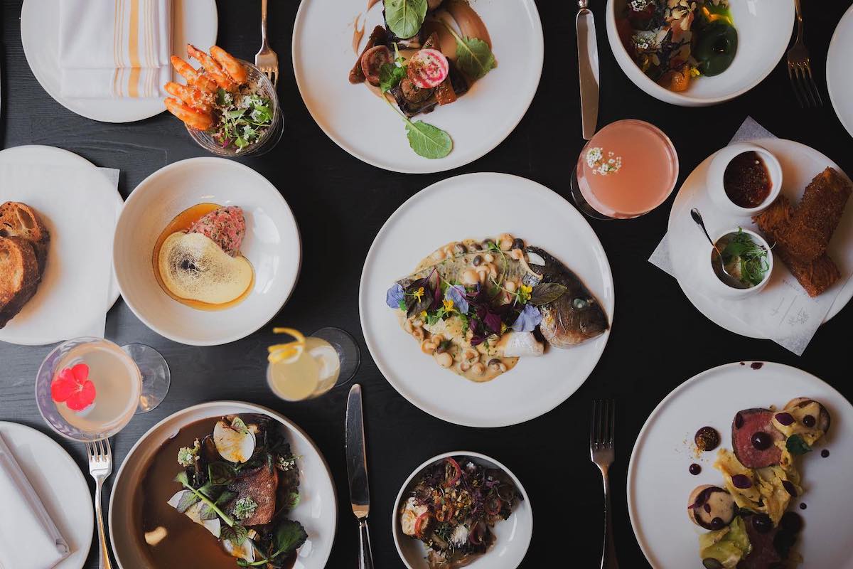 Forsythia's 4th Anniversary