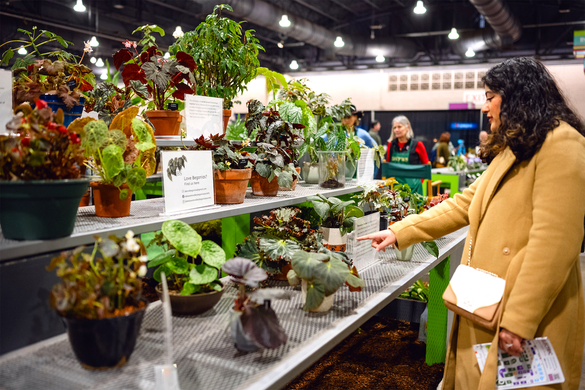 2024 Philadelphia Flower Show