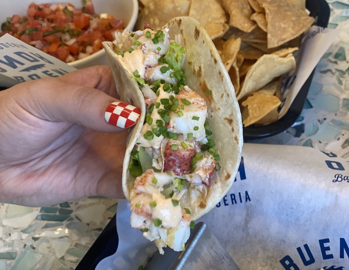 Jose Garces Maine Lobster Taco